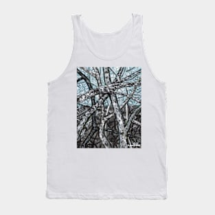 'Blue Ridge Ruminations #9' Tank Top